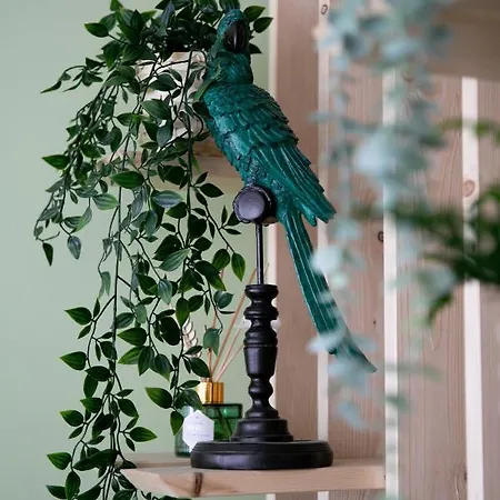 Apartment Climatise - Nature - Hyper-centre De *